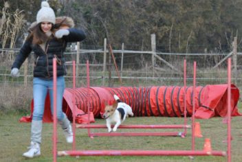 Suivi Bamboo - Ecole Canine du Luberon