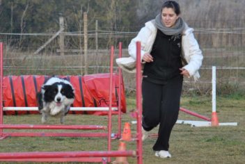 Suivi Cooper - Ecole Canine du Luberon