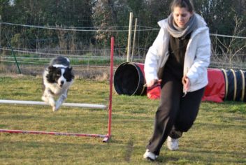 Suivi Cooper - Ecole Canine du Luberon