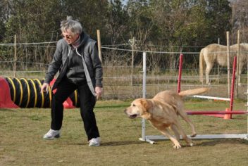 Suivi Djoudy - Ecole Canine du Luberon