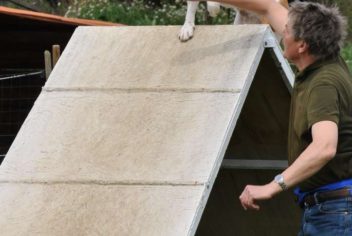 Suivi Misty - Ecole Canine du Luberon