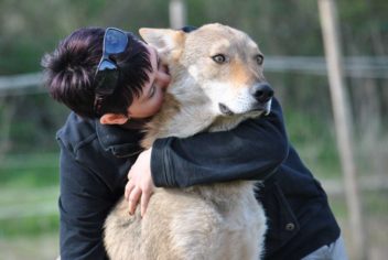 Pause tendresse - Ecole Canine du Luberon
